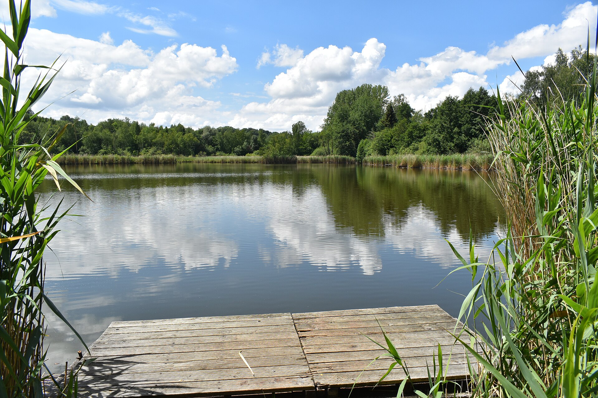 Kranichteiche