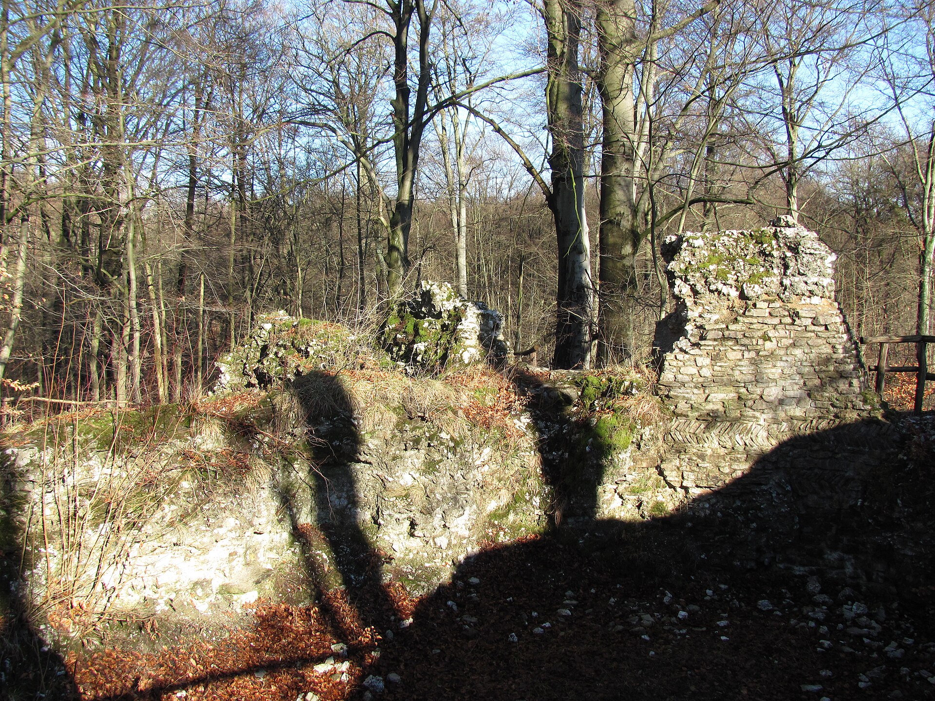 Burgruine Sachsenstein