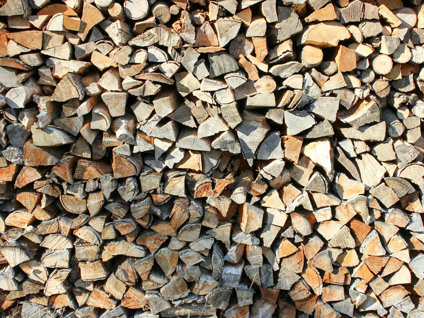Fein gespaltenes Anzündholz